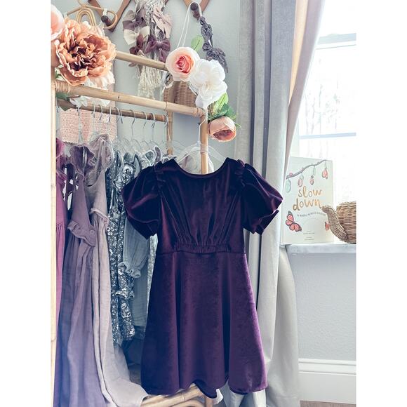 Zara Sugarplum Lush Drapey Soft Velvet Puff Slv Dress 6 - Picture 2 of 6